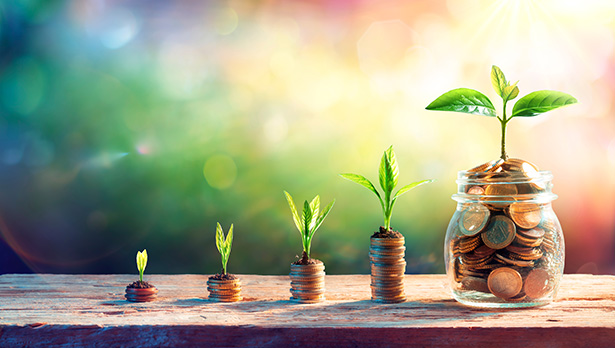A photo of five stacks of coins with a seedling sprounting out of each one. Each stack gets larger going from left to right to signify financial growth.